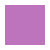 Primary Creme Color - Image 47