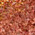 Crystal Cream Shadows - Image 29