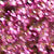 Crystal Cream Shadows - Image 34