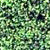 Crystal Cream Shadows - Image 36