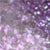 Twin Flame Multichrome Pigment - Image 79