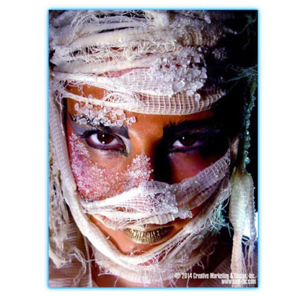 Ice FX Makeup Pro Kit - Image 3