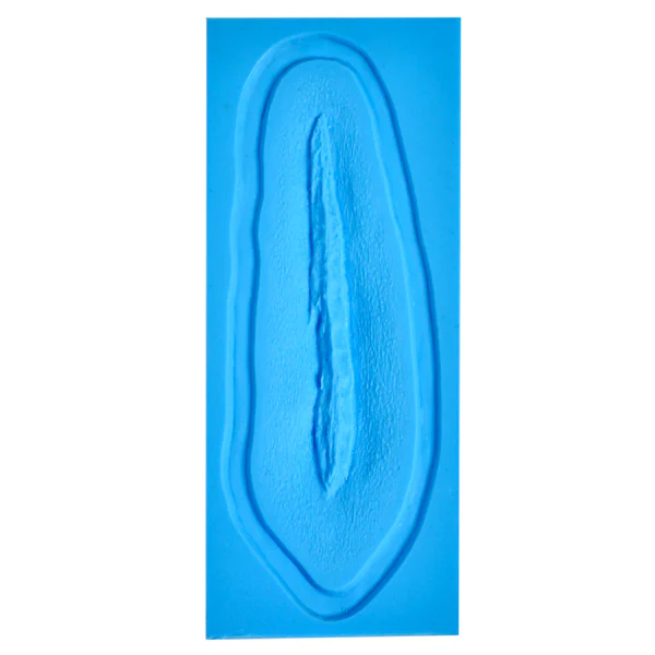 Laceration Molds 6''