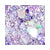 SpaceJam Ultra Luxe Glitter Balm - Image 49