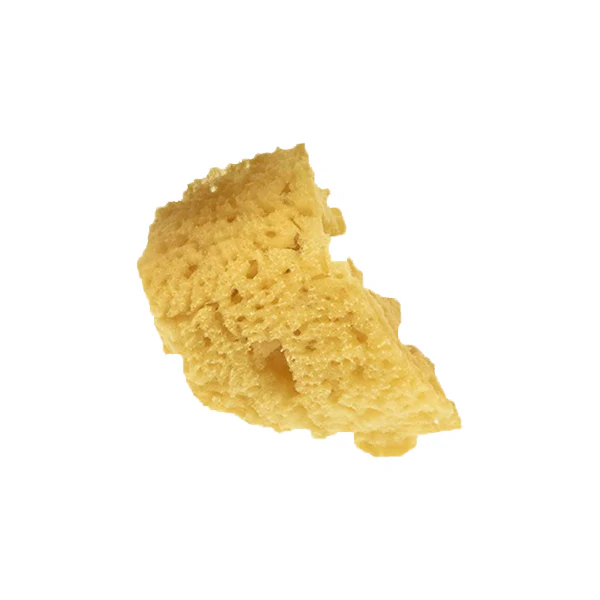 Natural Silk Sea Sponges - Image 4