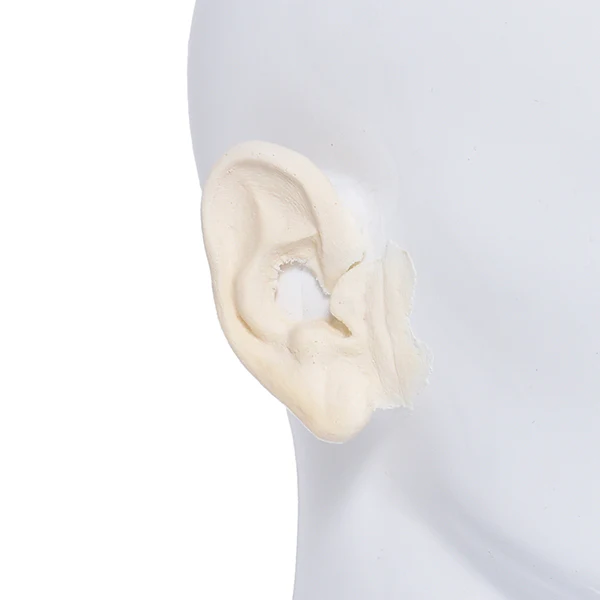 Foam Latex Prosthetic Aged Ears #2 - Image 3