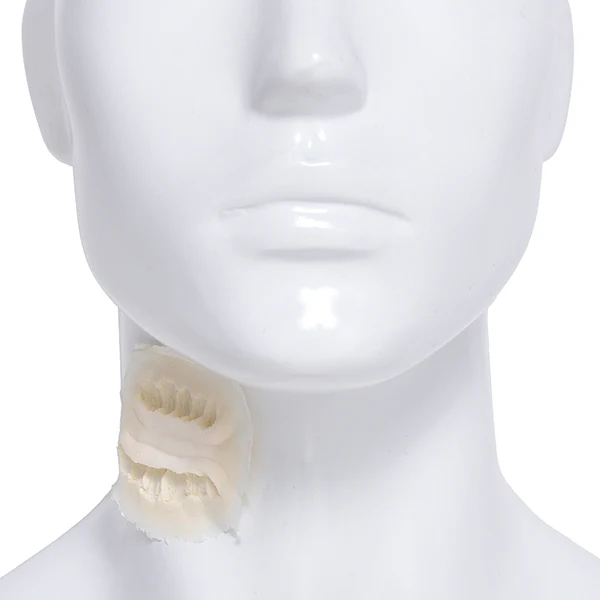 Foam Latex Prosthetic Bite Mark #1