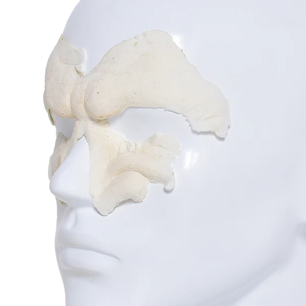 Foam Latex Prosthetic Snarl - Image 2