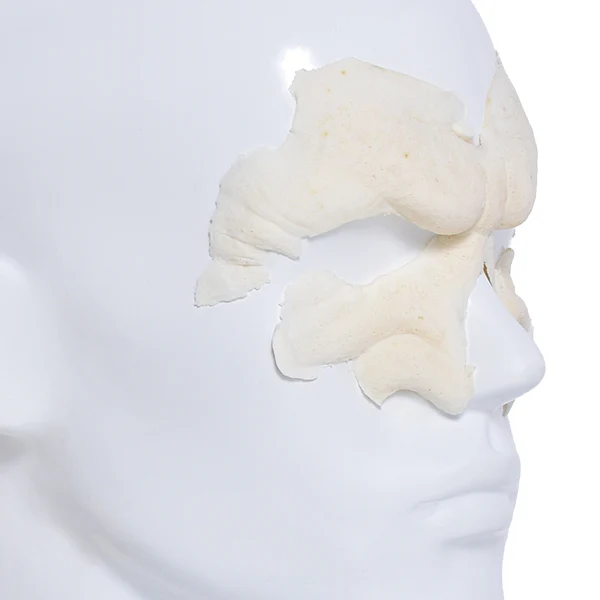 Foam Latex Prosthetic Snarl - Image 3