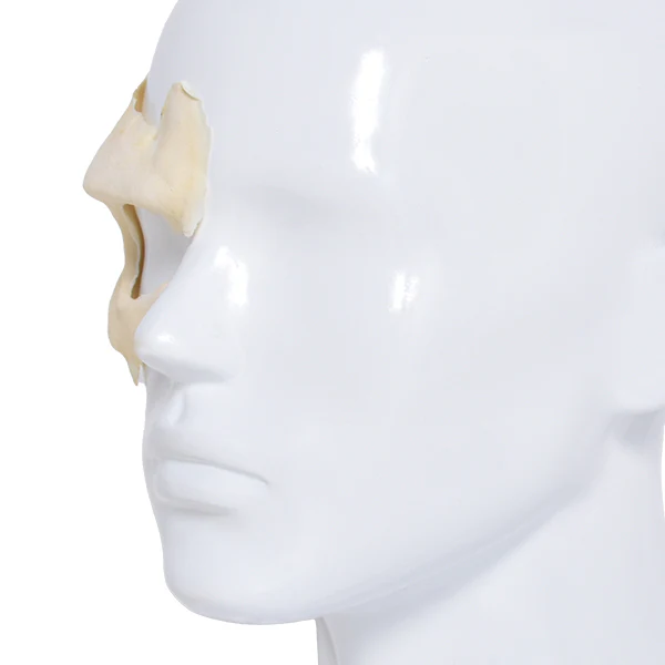Foam Latex Prosthetic Zombie Eye #2 - Image 4