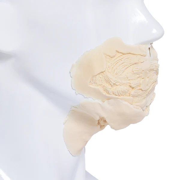 Foam Latex Prosthetic Zombie Small Mouth - Image 2
