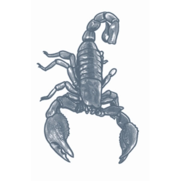 Temporary Tattoo Transfers, Prison - Image 26