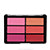 Blush Palettes - Image 11