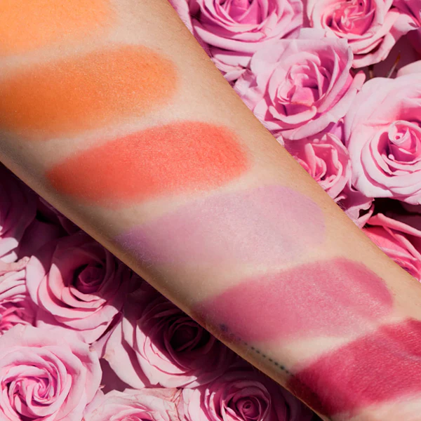 Blush Palettes - Image 6