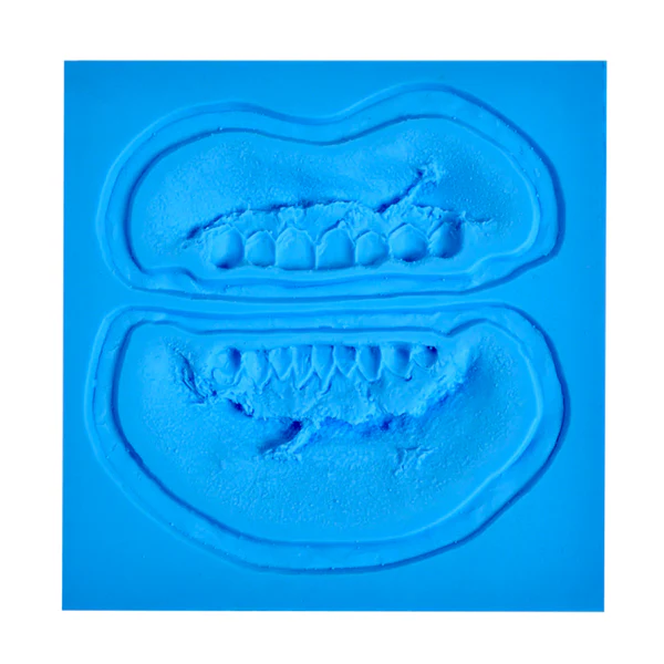 Zombie Molds - Image 15