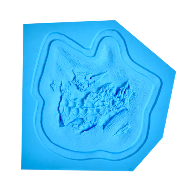Zombie Molds - Image 3